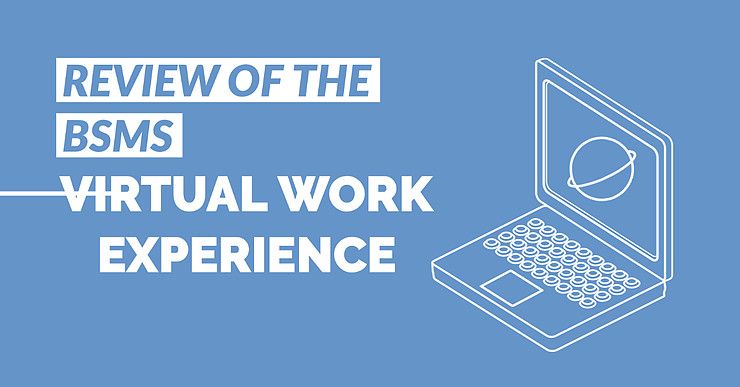 Review of the Brighton and Sussex Virtual Work Experience Platform