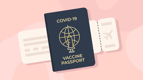 ✏️ COVID Passports - A Critical Appraisal